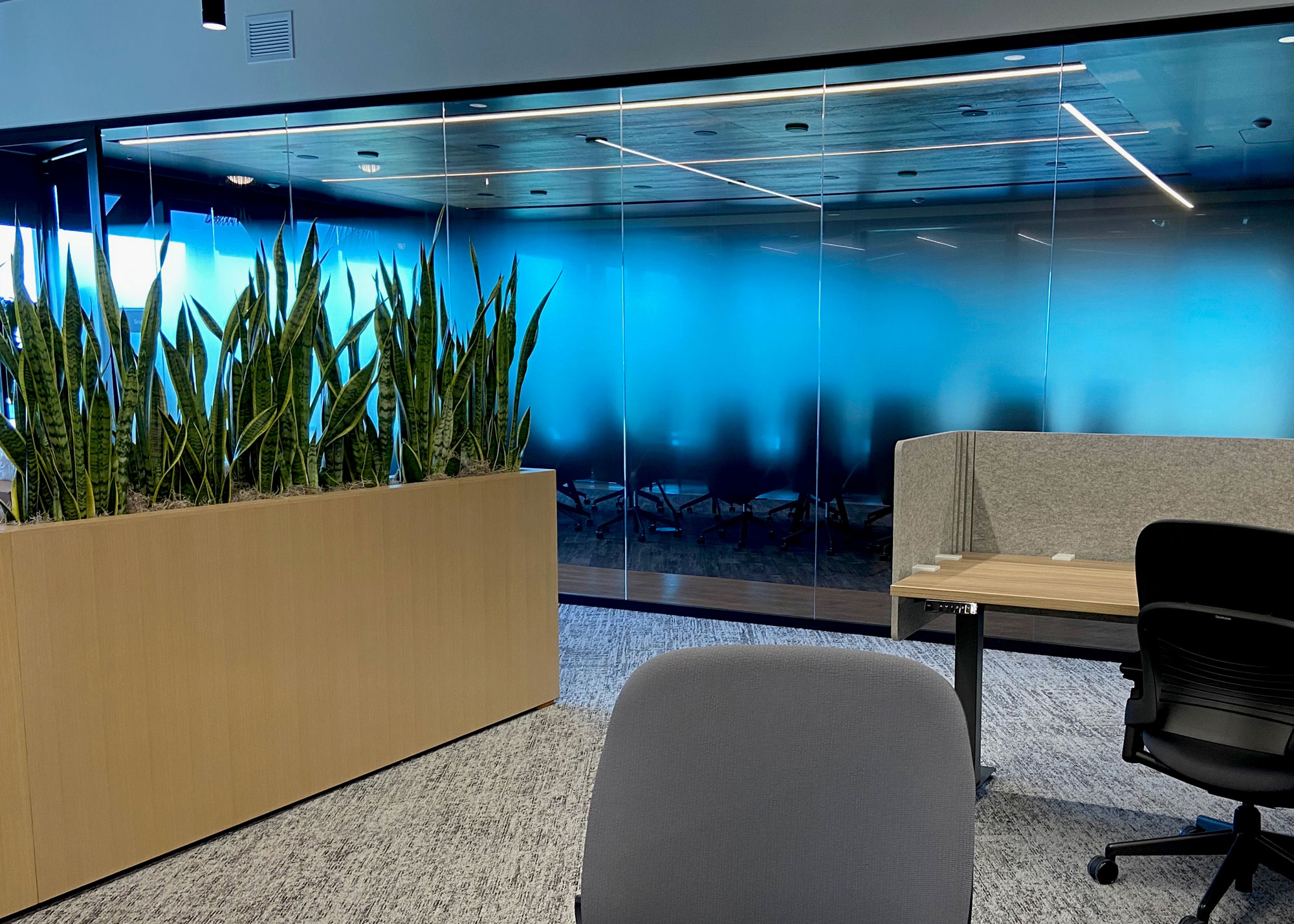 Project Mirati: VisualPro Collaborates with Pro Glass Works on Custom Window Film